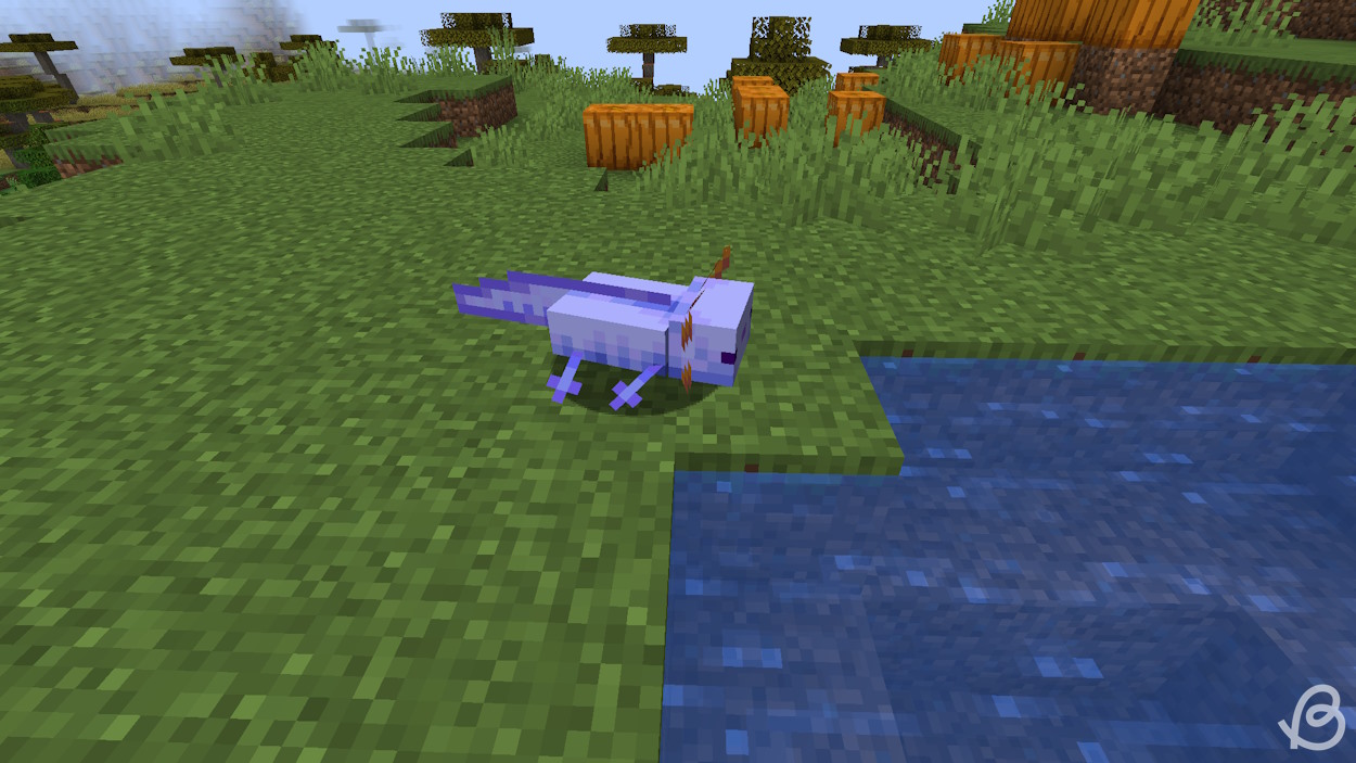 Blue axolotl mob in Minecraft