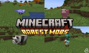 7 Rarest Mobs in Minecraft and How to Get Them