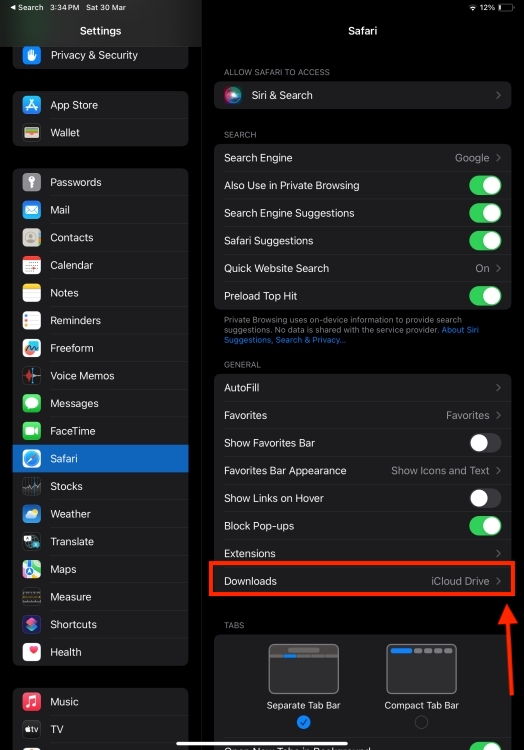 Safari section in iPad Settings