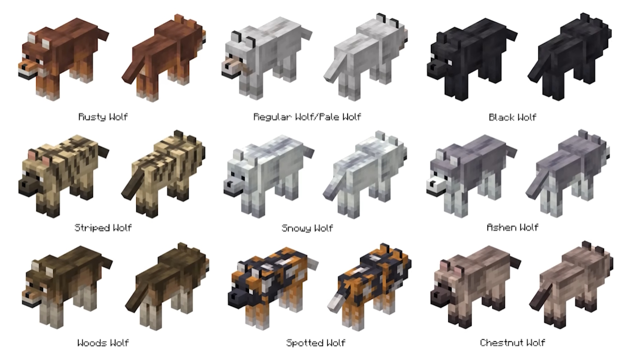 All wolf variants in Minecraft