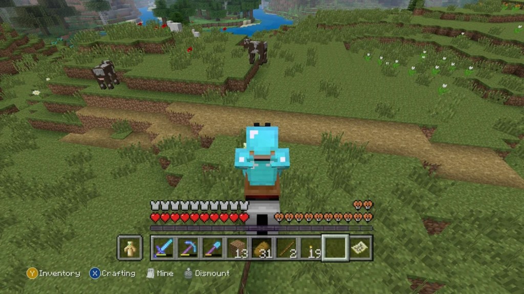 Weird village in Minecraft with only path blocks