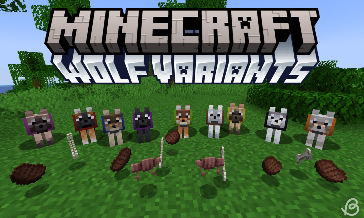 All Wolf (Dog) Variants in Minecraft and Where to Find Them | Beebom