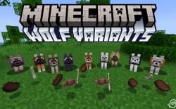 All wolf variants in Minecraft and steak, bones and wolf armor items on the ground