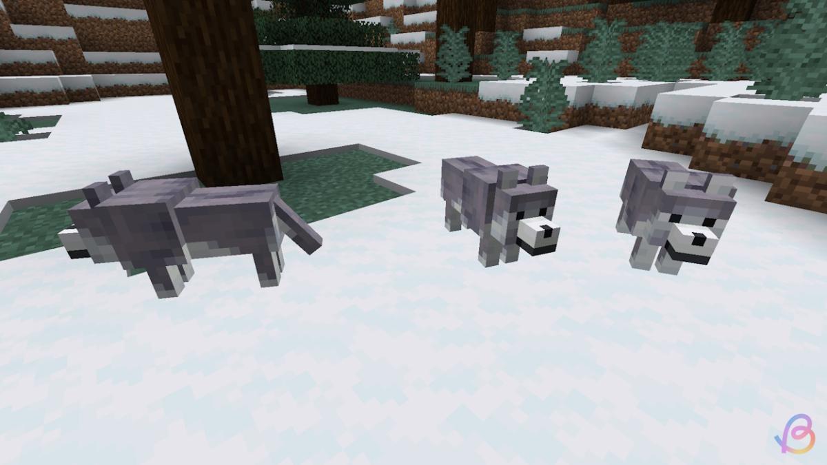 All Wolf (Dog) Variants in Minecraft and Where to Find Them Beebom