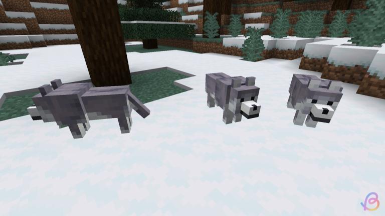 All Wolf (Dog) Variants in Minecraft and Where to Find Them | Beebom