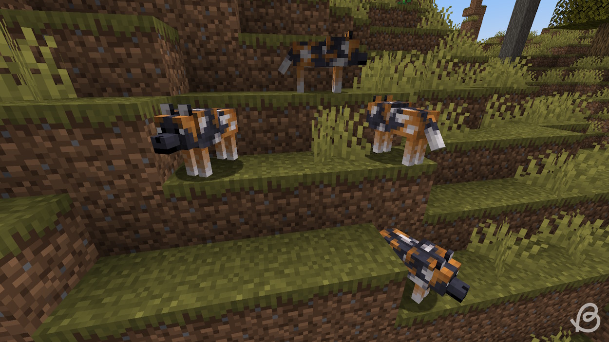 Spotted wolf variant in Minecraft