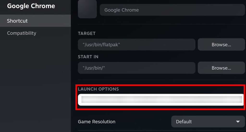 enter the launch options to run Fortnite on chrome browser via GeForce NOW