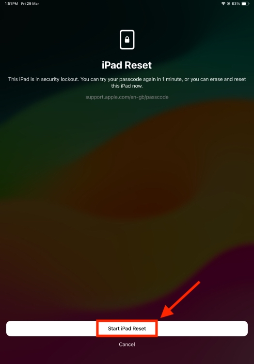 iPad Reset Option