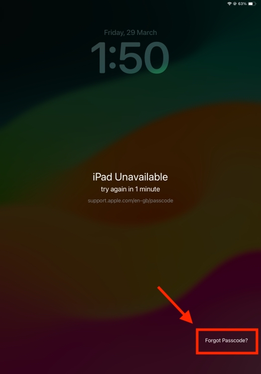 iPad Unavailable Screen