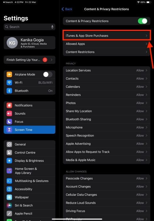 iTunes and App Store Purchases on iPadOS