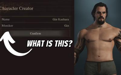 What is moniker in Dragons Dogma 2