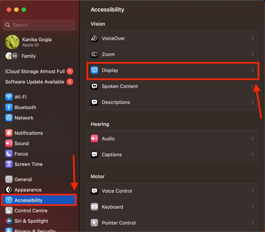 Accessibilty section in Mac Settings