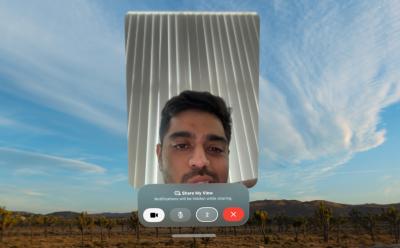 FaceTime on the Apple Vision Pro