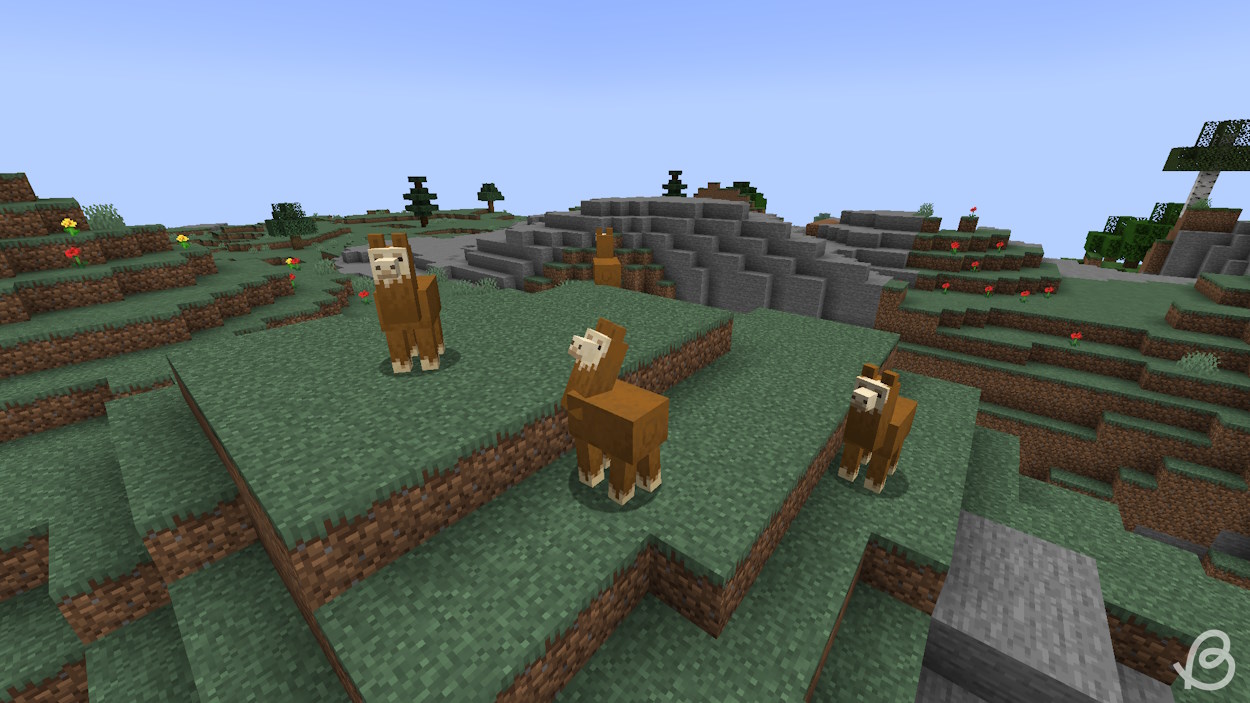 Naturally spawned llamas in Minecraft