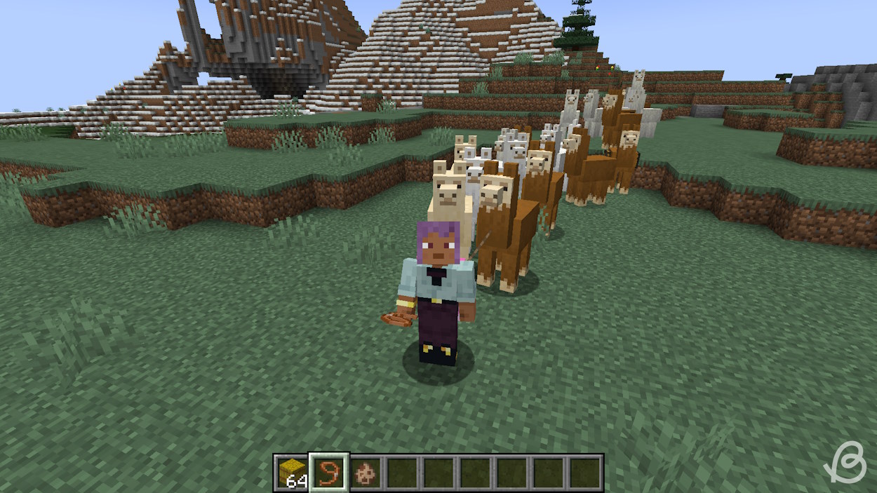 Player leading lots of llamas with only three being on a lead