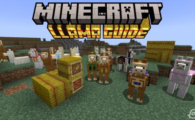 Various llamas, hay bales, wheat and a lead in item frames in Minecraft