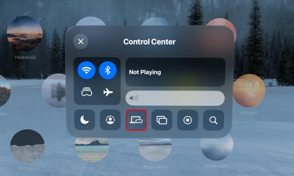 Mac Virtual Display icon in the Vision Pro Control Center page