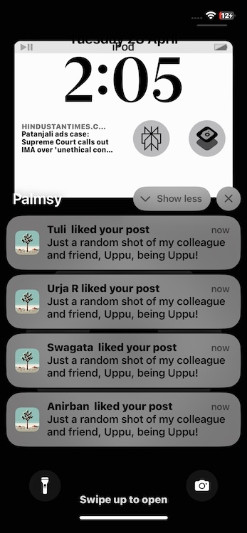 Palmsy app notifications