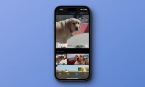 How to Tag Pets and People in Photos on iPhone