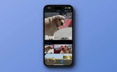 Tag Pets and people in Photos on iPhone