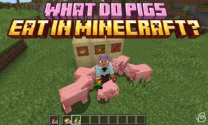 What Do Pigs Eat in Minecraft