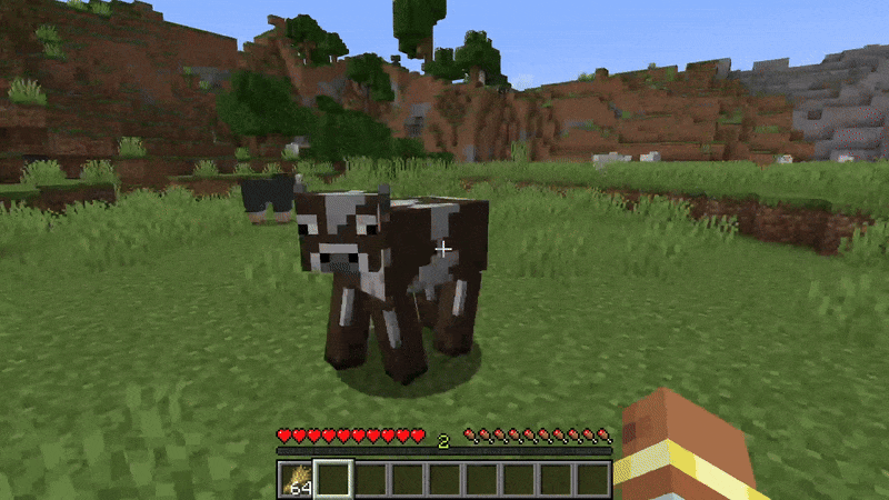 Player feeding a cow in Minecraft