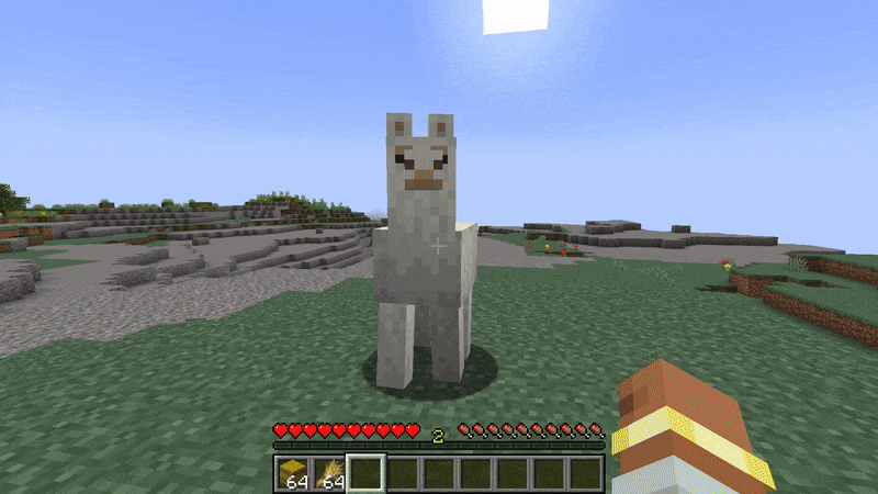 Player feeding a llama wheat and hay bales in Minecraft