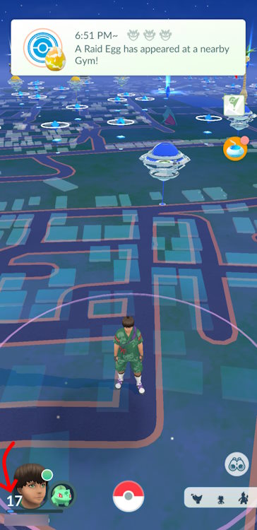 Where your current level is shown up on the screen in Pokemon GO