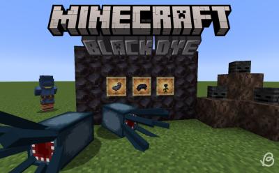 Black dye, ink sac and a wither rose in item frames, with squids and wither skeleton skulls around in Minecraft