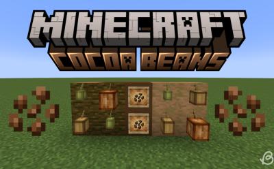 Cocoa pods on jungle logs and wood and cocoa beans in item frames in Minecraft