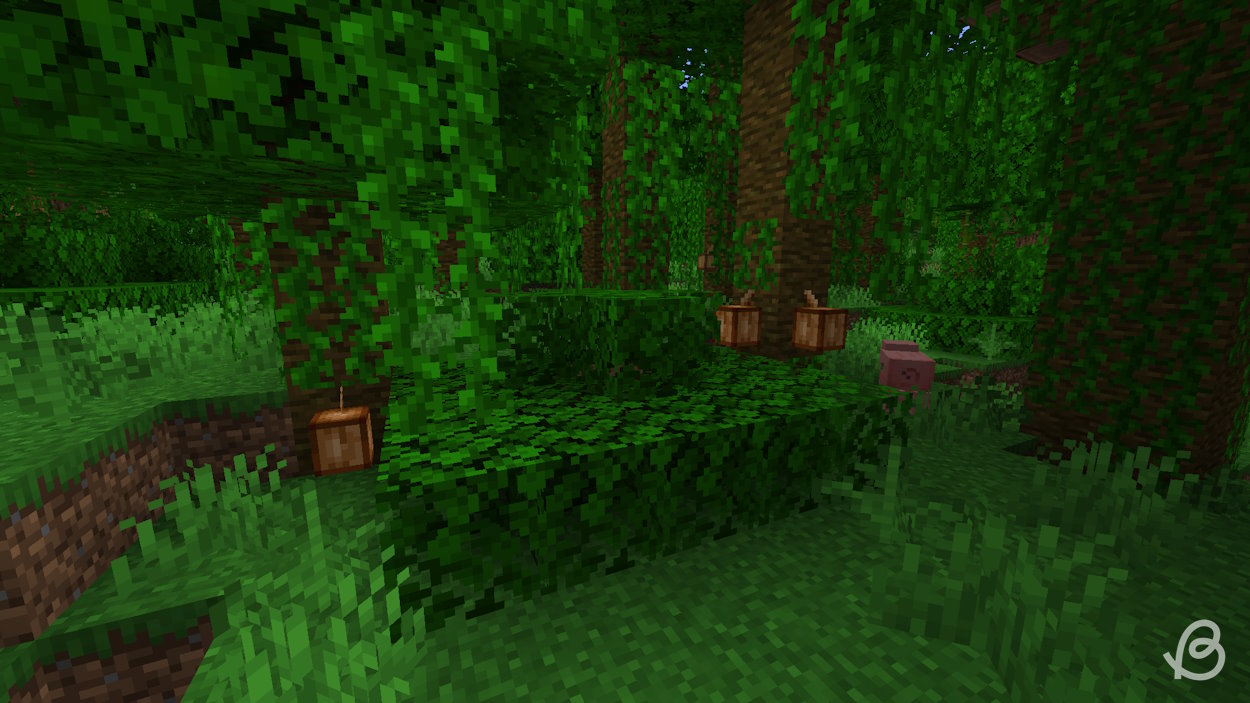 Naturally generated cocoa pods