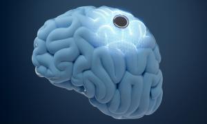what does safari incognito do First Neuralink Brain Chip Implantee Encounters an Issue and It's Concerning