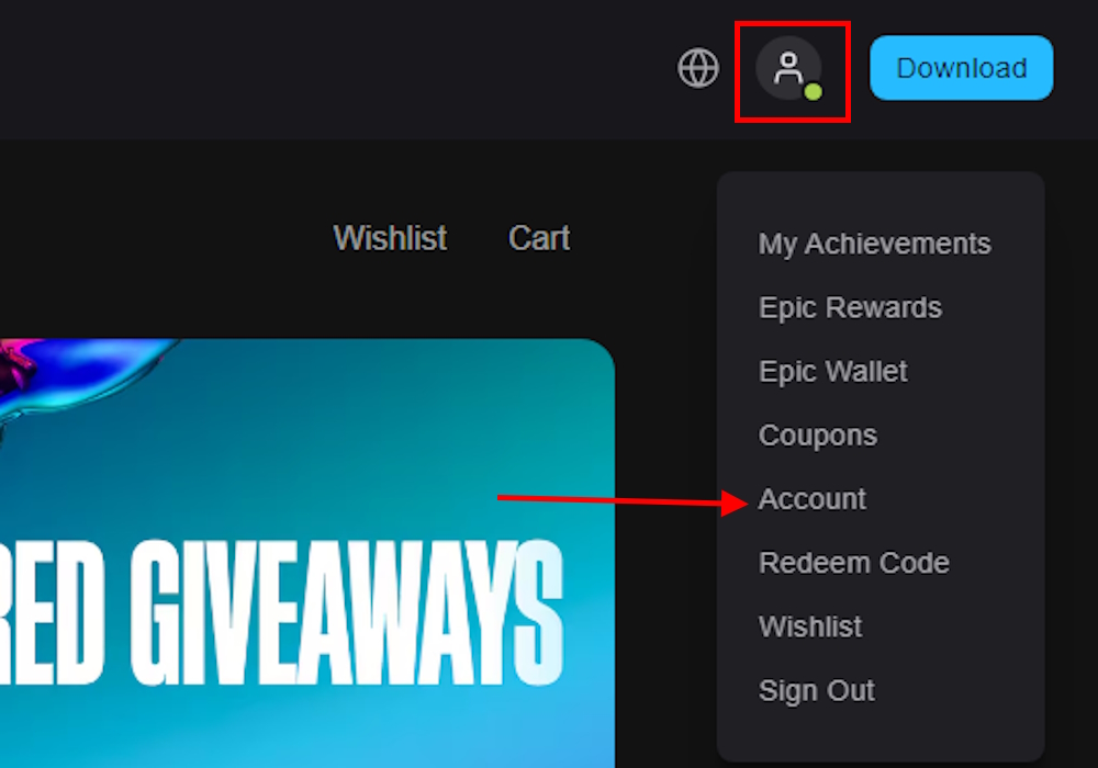 Epic Games Account option