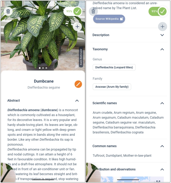 Flora Incognita App