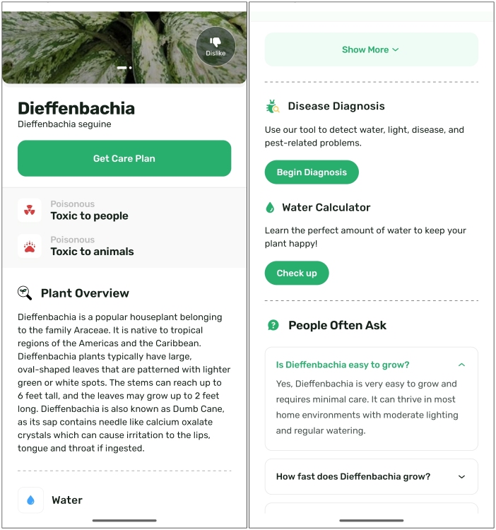 PlantApp Plant Identifier