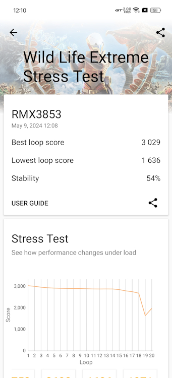 Realme-GT-6T-Wild-Life-Extreme-Stress-Test