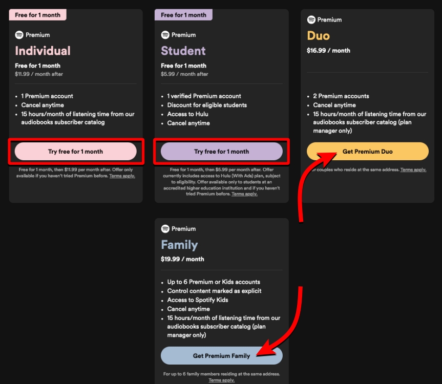 Spotify Premium Plan June 2024