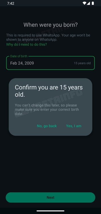 Age Confirmation WhatsApp | June 2024 features