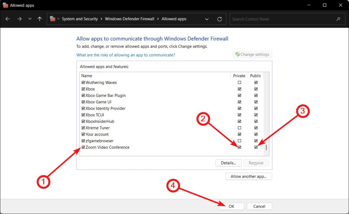 Allow zoom through firewall