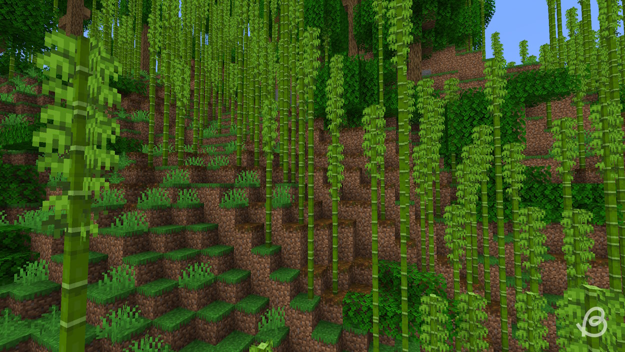 Bambou poussant dans une jungle de bambous Biome Minecraft