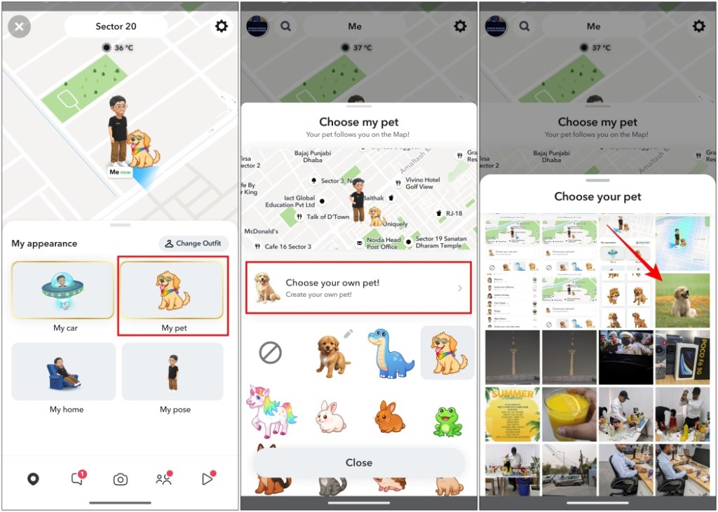 Choose Pet Photo for Snap Map