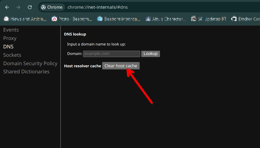 Clear host dns cache