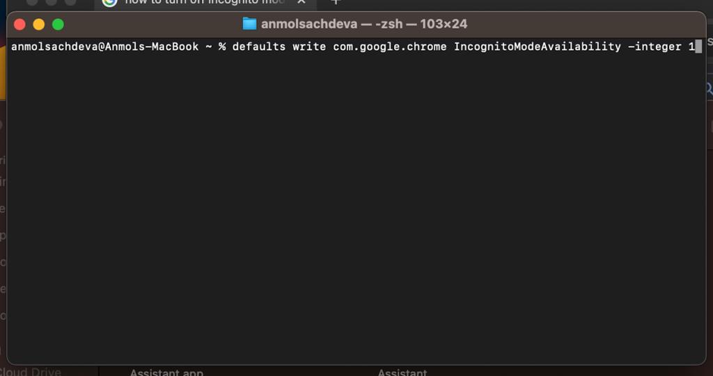 turn off incognito mode using Terminal on Mac