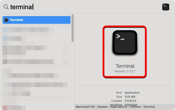 Launch Terminal to Flush DNS Cache