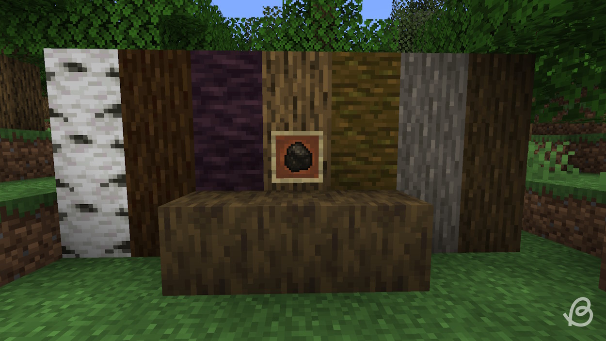 Charcoal, the best fuel source in Minecraft, in an item frame with all log types around it
