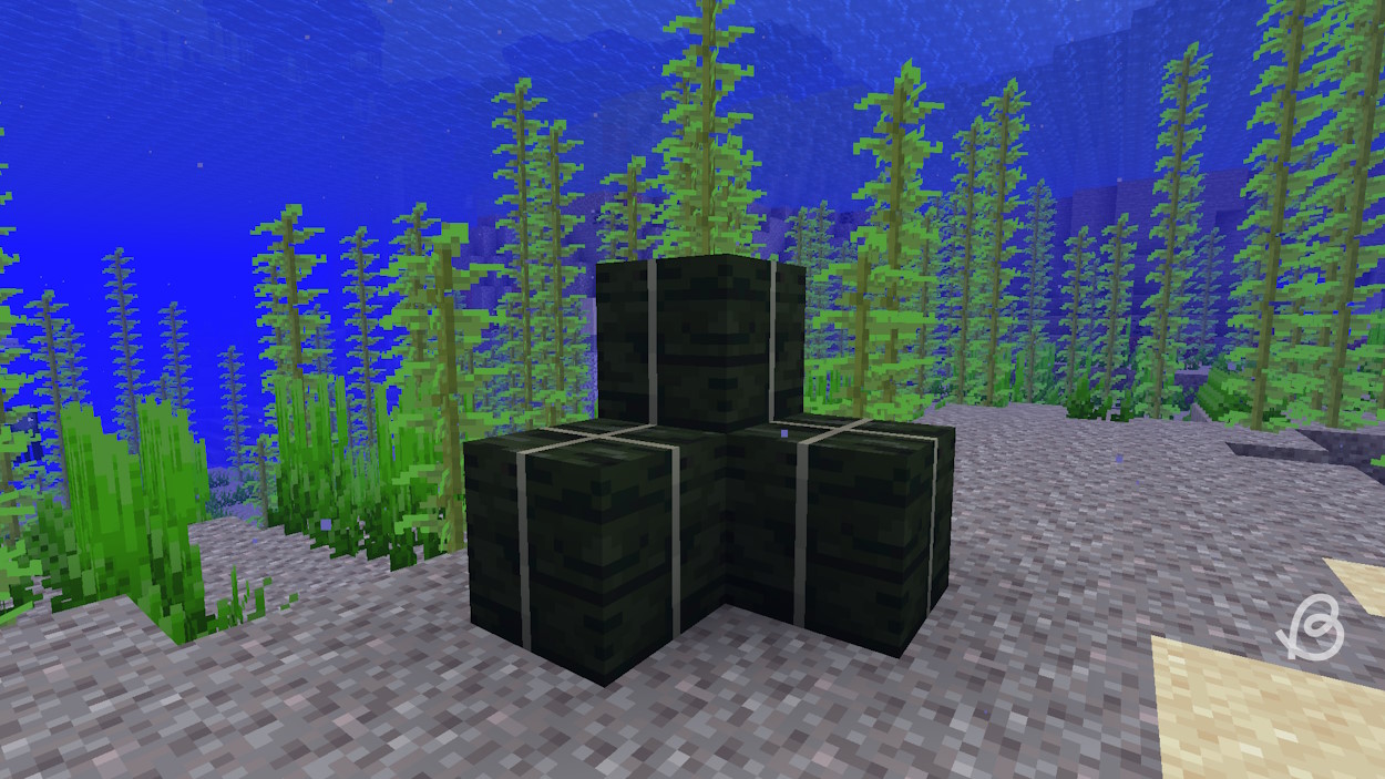 Dried kelp blocks underwater next to kelp