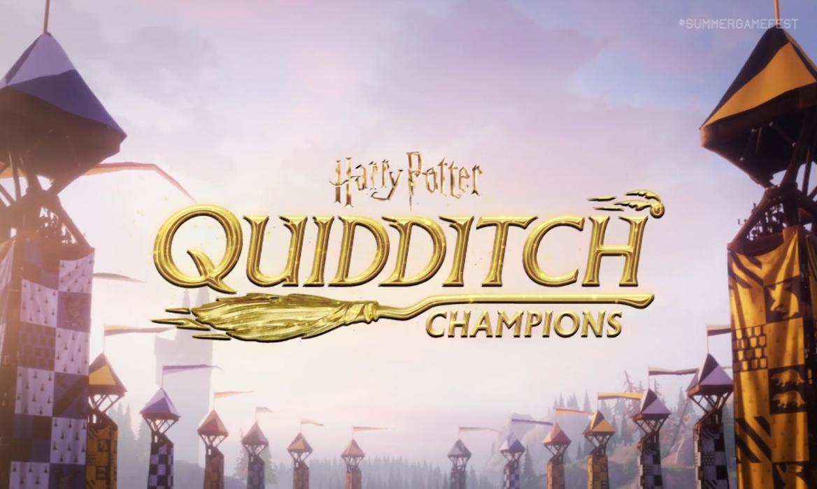 Harry Potter Quidditch Champions cover