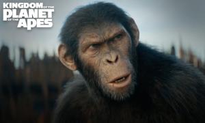 Kingdom of the Planet of the Apes Streaming Date and Platform