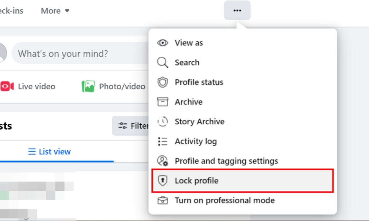 Lock Profile Facebook