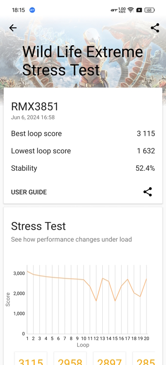 Realme-GT-6-Wild-Life-Extreme-Stress-Test